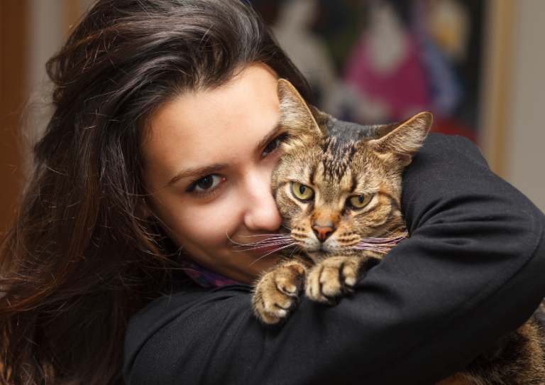 vaccination pour chat et chiens